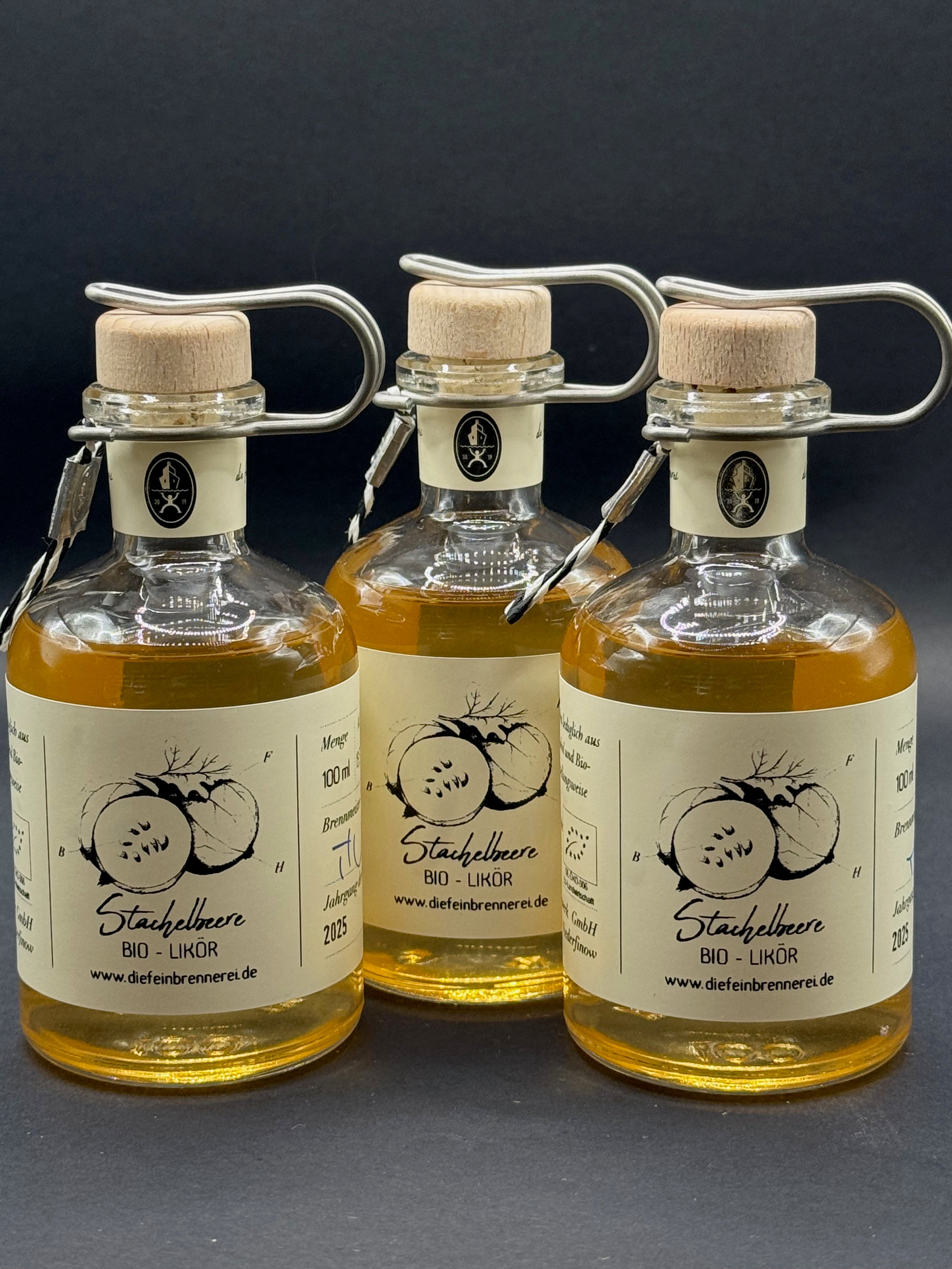 Stachelbeere - Likör (bio zertifiziert) - 100 ml